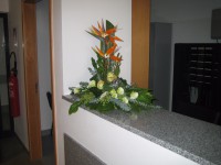 /album/centro-social-de-dornelas/img-1466-jpg1/